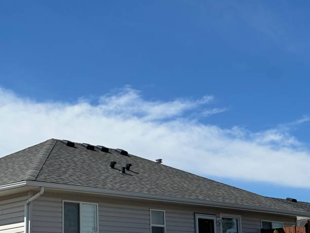 Roof Moss and Algae Removal in Edgar, WI